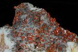 Red Vanadinite Crystals on Bladed Barite - Morocco #61174-2